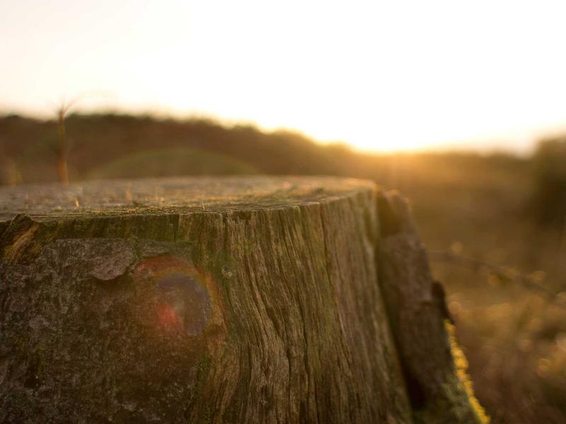 sudoku bedtime puzzle screenshot 4