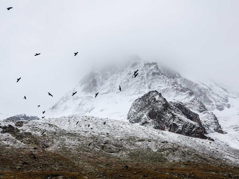 sudoku perfect score screenshot 4